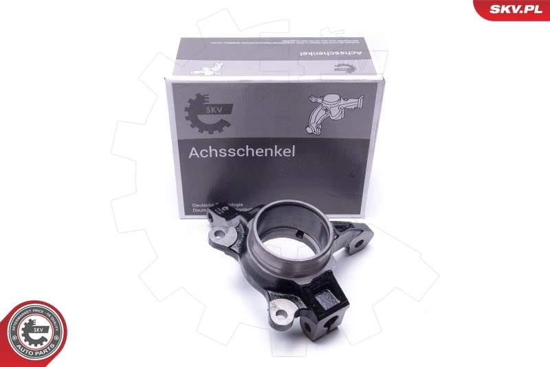 Steering Knuckle, wheel suspension